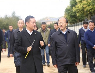 云南省委常委、副書記李秀領(lǐng)一行到苗鄉(xiāng)三七科技示范園考察調(diào)研