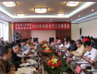 苗鄉(xiāng)三七與云南農大簽署校企合作協議，構建了戰(zhàn)略聯盟關系