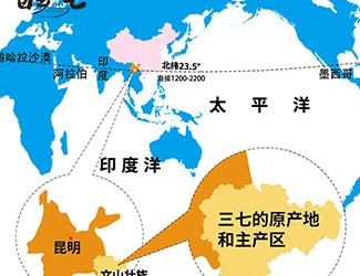 三七產(chǎn)地哪里的最好，廣西田七與云南三七有何區(qū)別