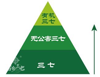 三七有幾個等級？分級依據(jù)是什么？