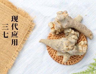 三七的功效作用在現(xiàn)代臨床中的應用，揭秘醫(yī)生如何用三七治病